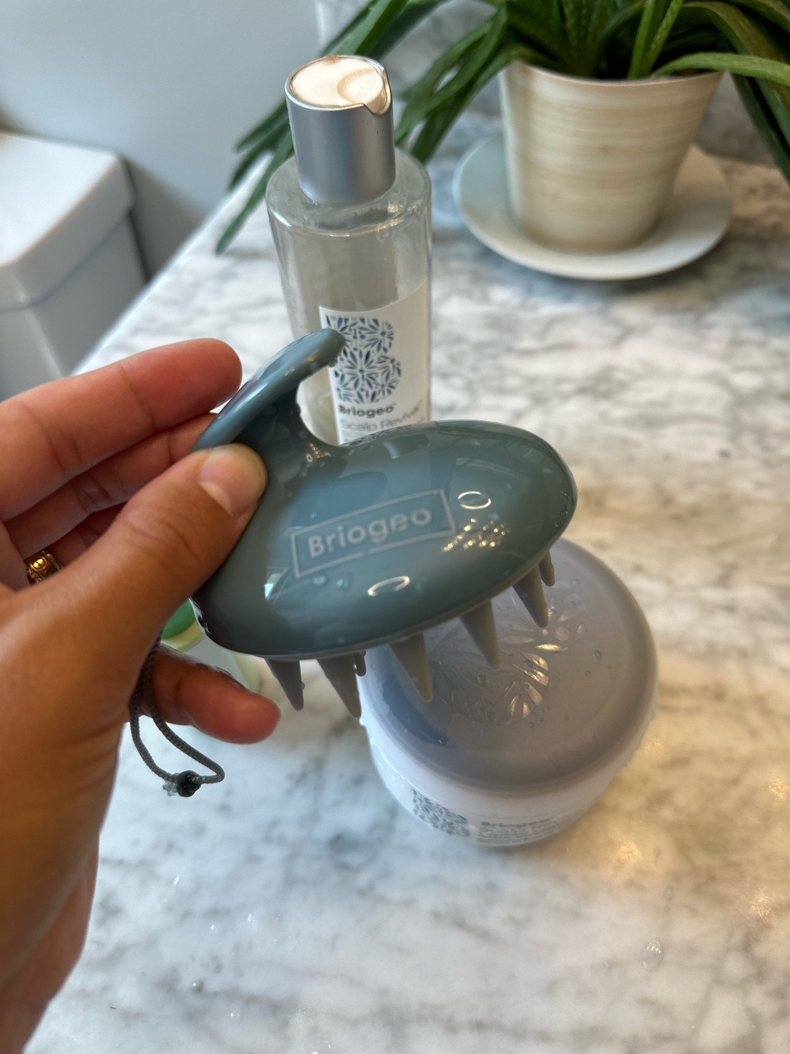 Scalp brush is a must! 

#LTKFindsUnder50 #LTKBeauty