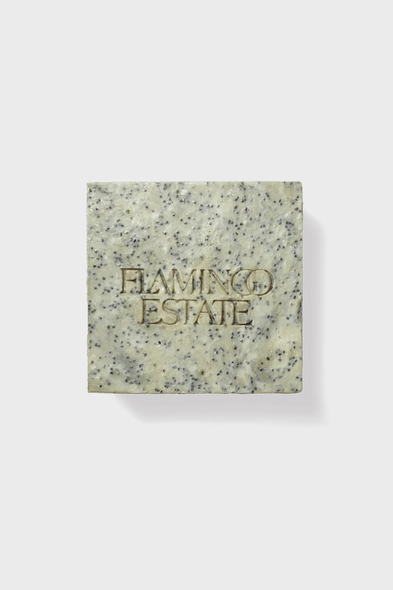 Exfoliating Peppermint Soap Brick | Tuckernuck (US)