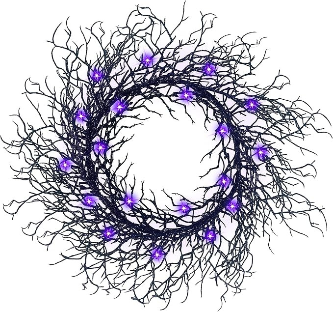 TURNMEON 18 Inch Prelit Halloween Wreath with Timer 20 LED Purple Lights for Front Door Decorati... | Amazon (US)