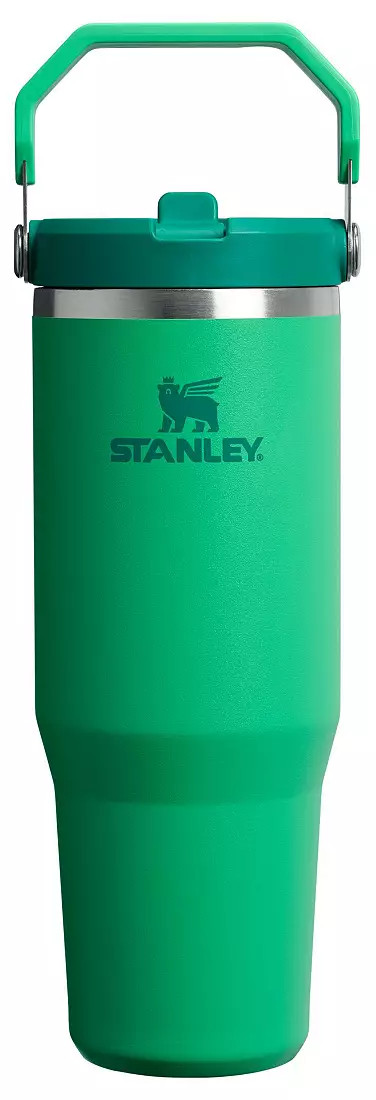 Stanley 30 oz. IceFlow 2.0 Flip Straw Tumbler | DICK'S Sporting Goods