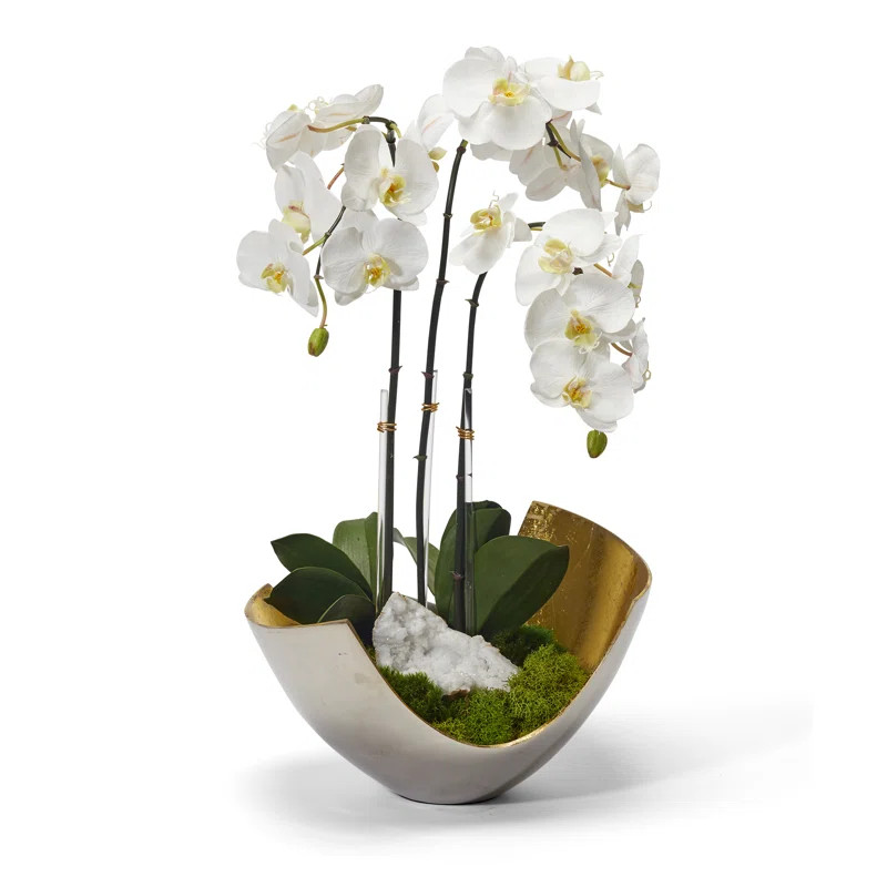 Faux Silk Orchid Arrangement in Vase | Wayfair North America