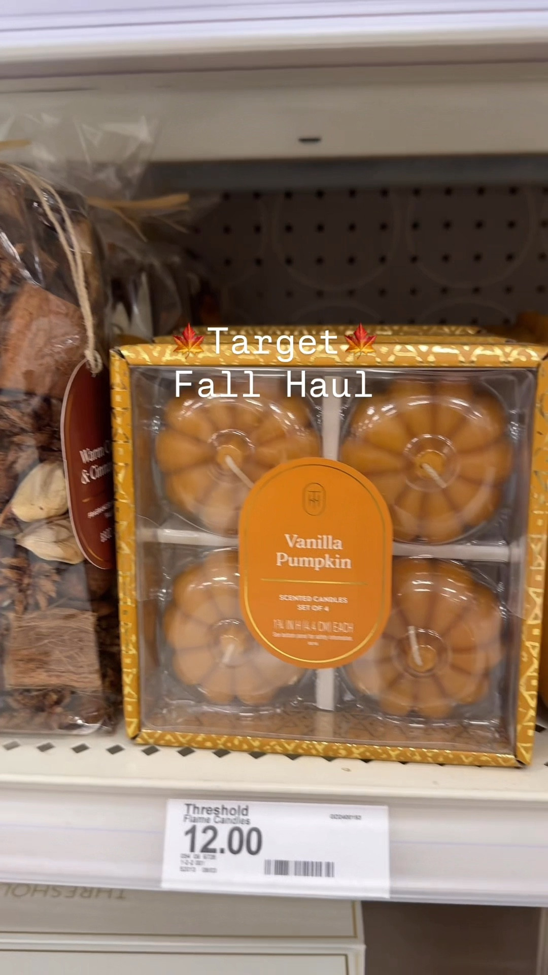 Target fall haul! 🍁🍂

#LTKFindsUnder50 #LTKHome #LTKSeasonal