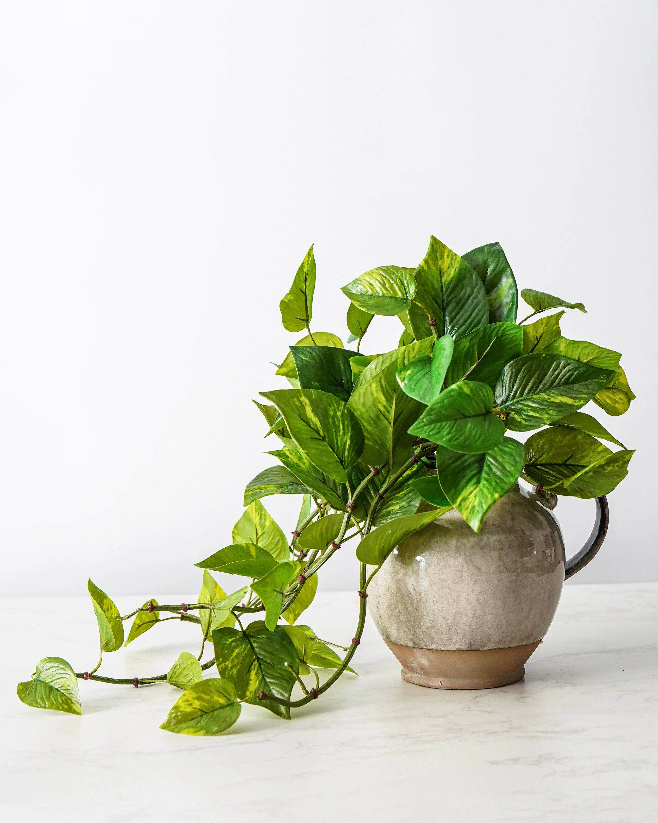 Natural Touch Pothos Pick | UV Safe | MJHome
