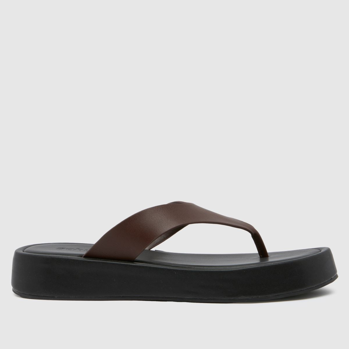 Womens Brown schuh Tabitha Toe Thong Sandals | schuh | Schuh