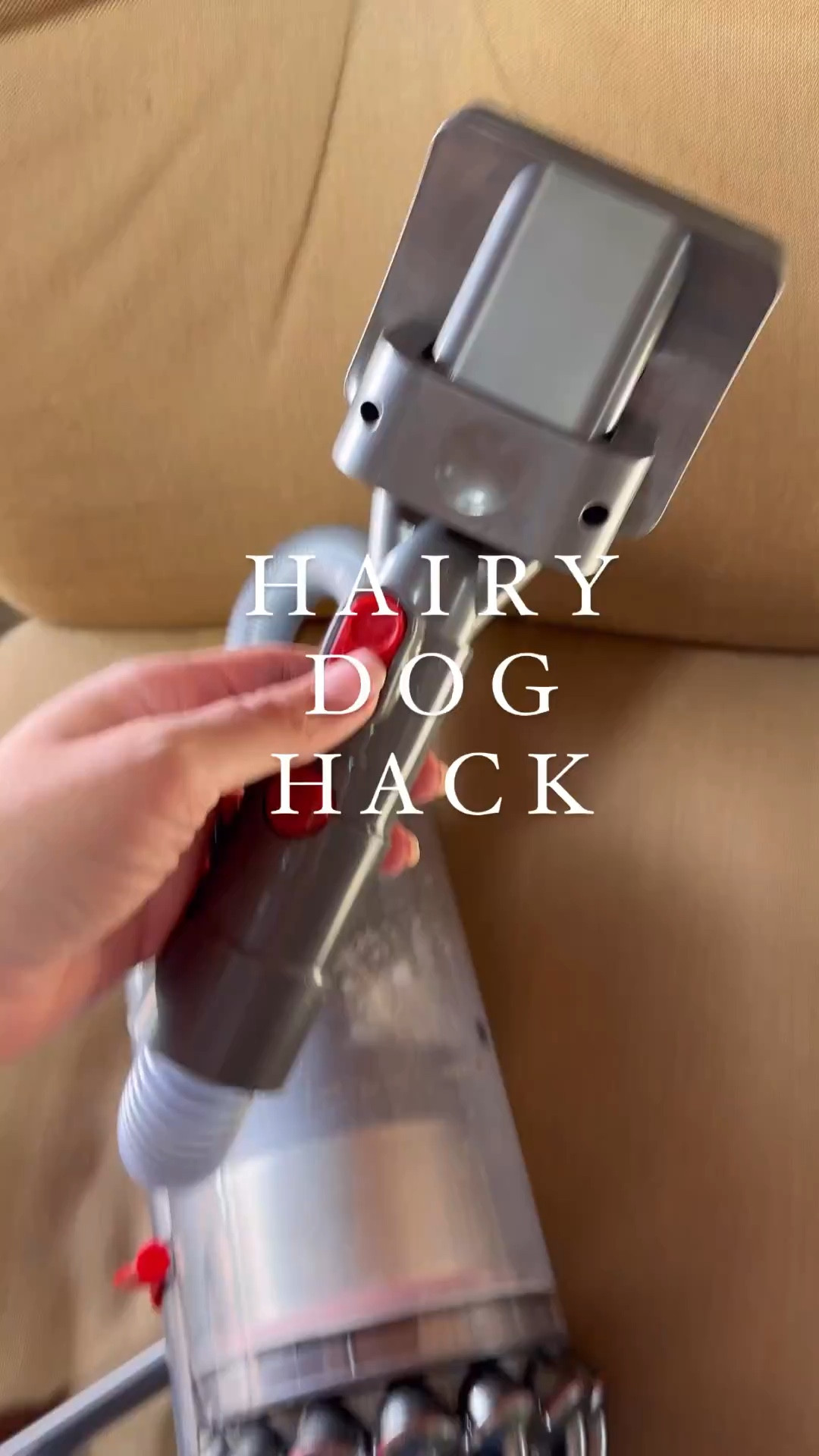 Hairy Dog Hack - Amazon dog hair remover 

#LTKhome