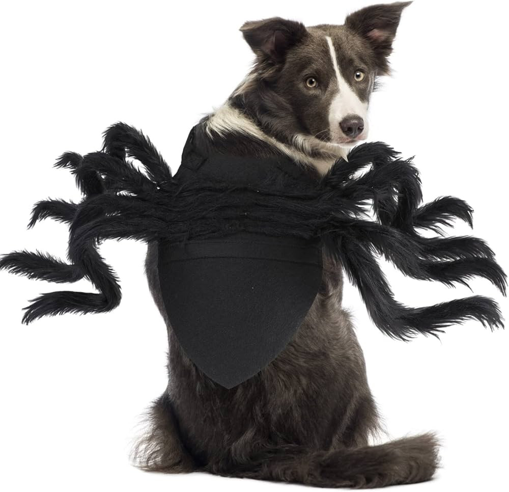 BWOGUE Halloween Pet Costume Spider Cosplay Apparel Dog Cat Spider Costume for Party Costume for ... | Amazon (US)