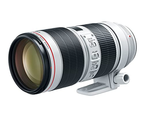 Canon EF 70-200mm f/2.8L IS III USM Telephoto Lens for Canon Digital SLR Cameras, White - 3044C00... | Amazon (US)