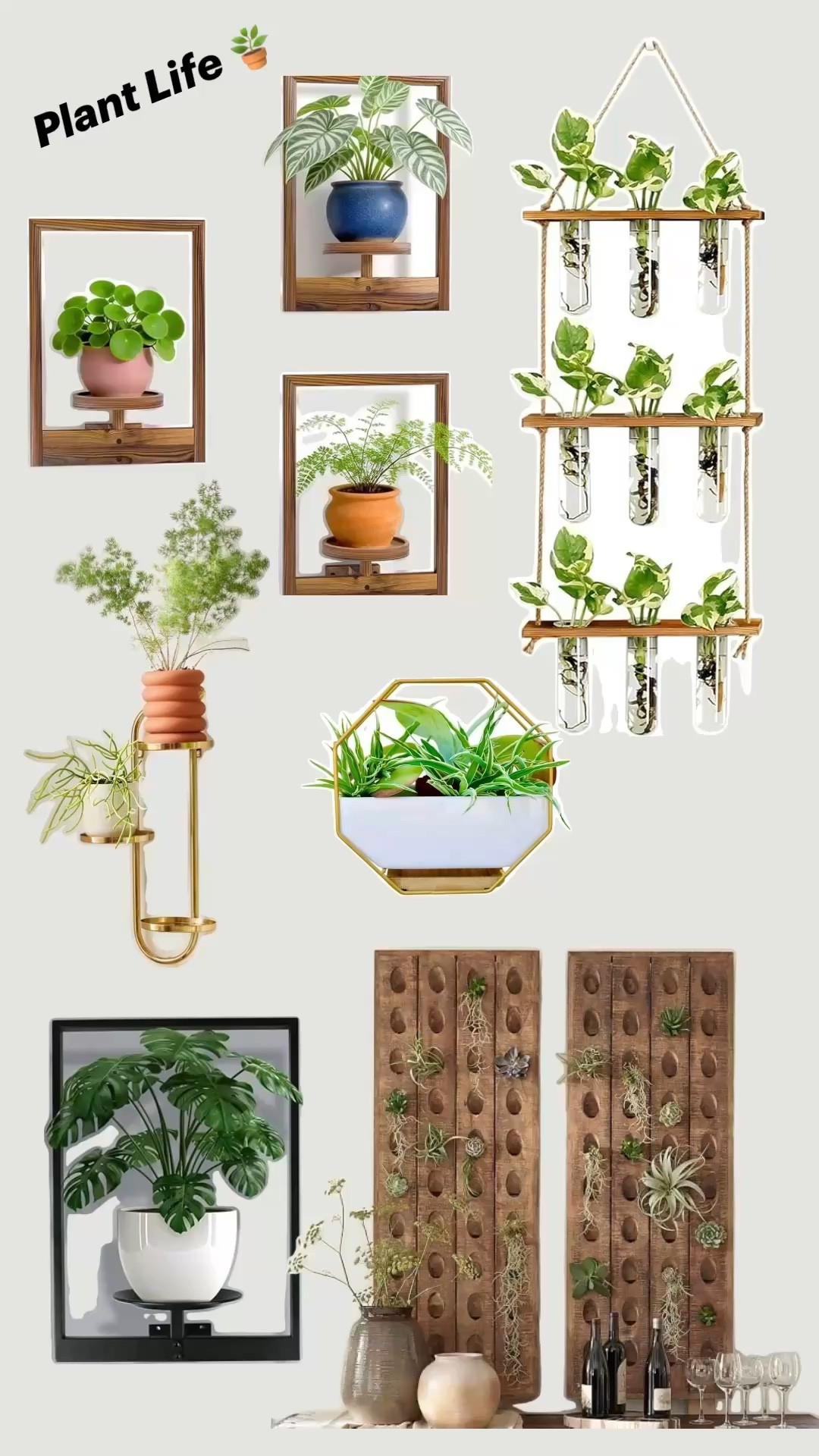 Plant wall moment 🌿 Loving these modern planters, propagation stations, and wood plant shelves for an easy indoor plant display.

#LTKHome