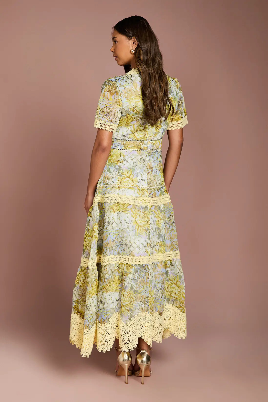 Green Coast Lace Trim Printed Organza Midi Dress | Debenhams | Debenhams UK