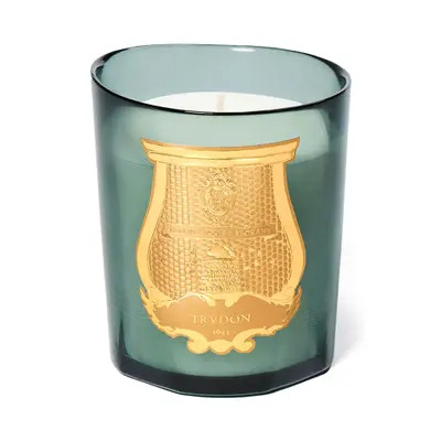 Trudon Figuerie Classic Scented Candle at Nordstrom | Nordstrom