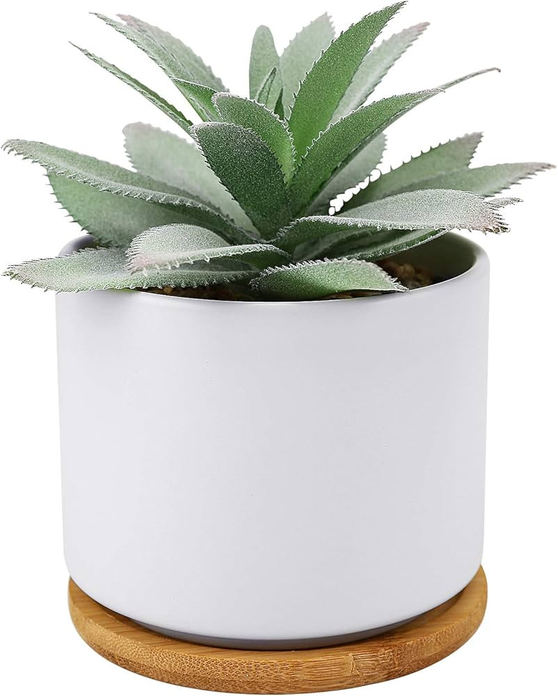 Hopewood Succulent Plants Artificial - Faux Agave Succulent Plant in Ceramic Pots with Bamboo Tra... | Amazon (US)