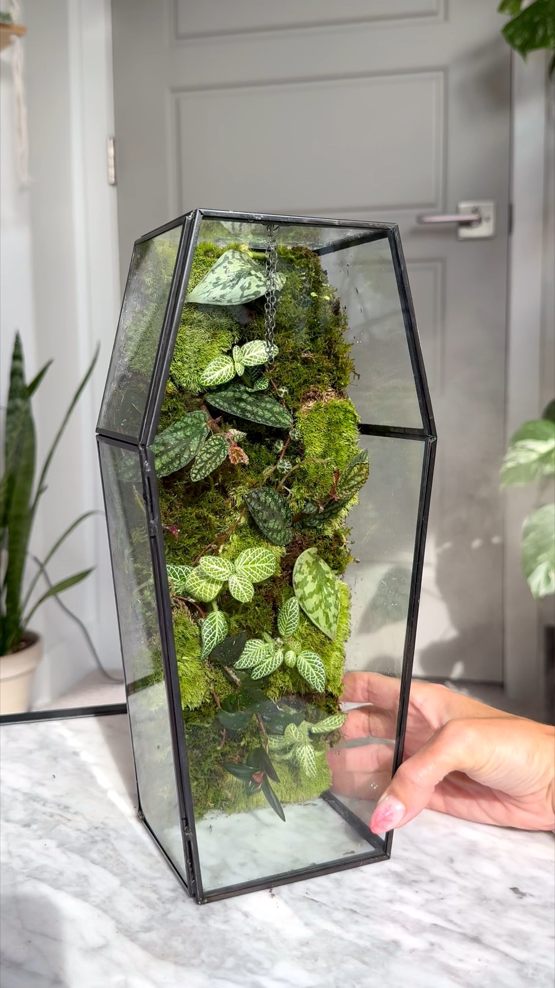 DIY Spooky Terrarium 

#LTKSeasonal #LTKHome