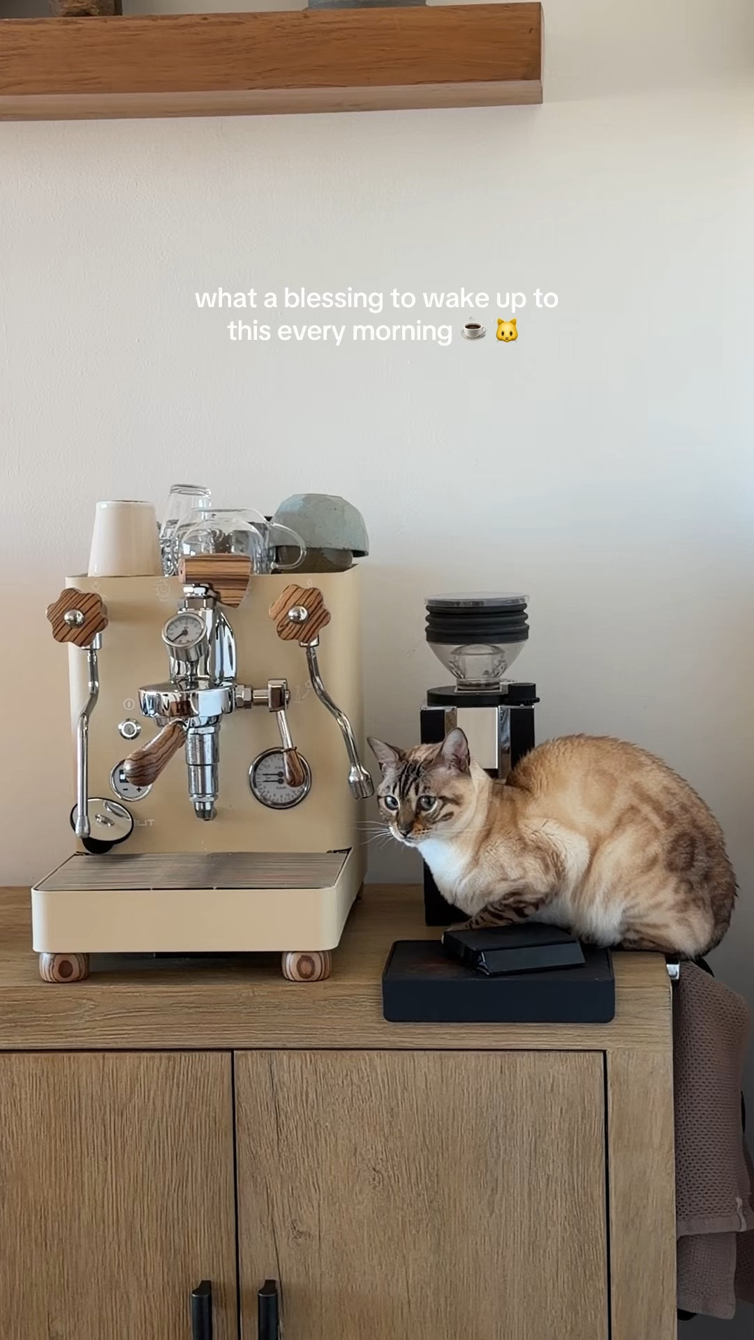 Coffee at home but make it café-level ☕✨

The Lelit Bianca Espresso Machine completely elevated my morning routine. It’s a prosumer espresso machine with incredible temperature stability and manual flow control, which means you can really dial in your shots just like a barista.

I love how customizable it is — from adjusting pressure during extraction to creating the smoothest microfoam for lattes and cappuccinos. Plus the stainless steel design is so beautiful on the counter.

If you’re serious about espresso and want café-quality drinks at home, this machine is truly worth the investment. My daily ritual now feels like a luxury coffee experience without leaving the house.

#ltkhome #coffeelover #homeespresso #coffeestation #kitchenfavorites #morningritual ☕

#LTKmorningroutine #LTKdayinmylife #LTKU