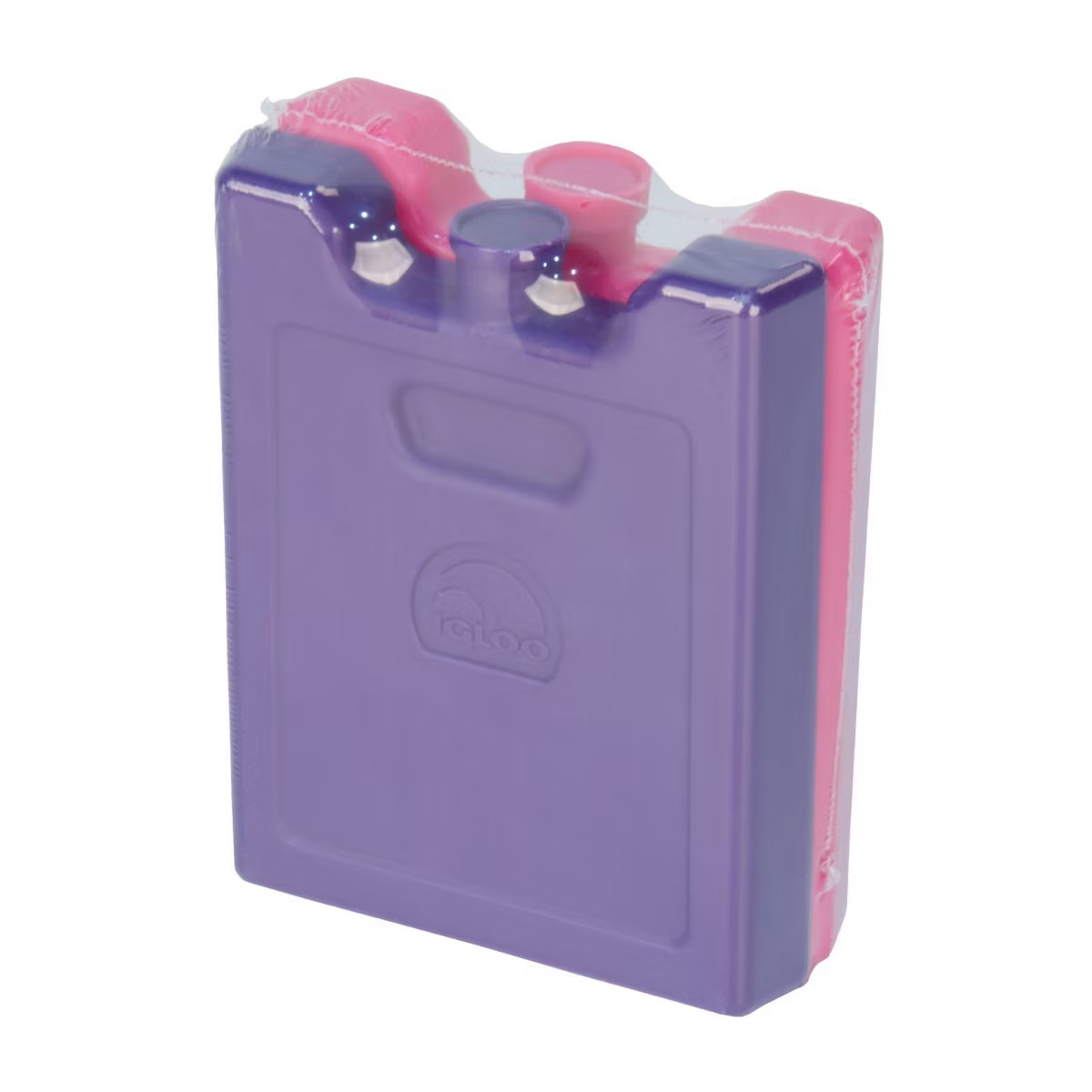 Igloo 2pk Ice Blocks | Target