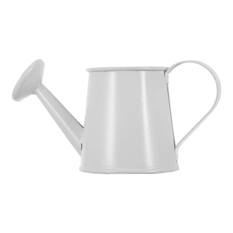 LOLIPPYY Small Watering Can Trendy Iron Water Can for Plants 1Set White | Walmart (US)