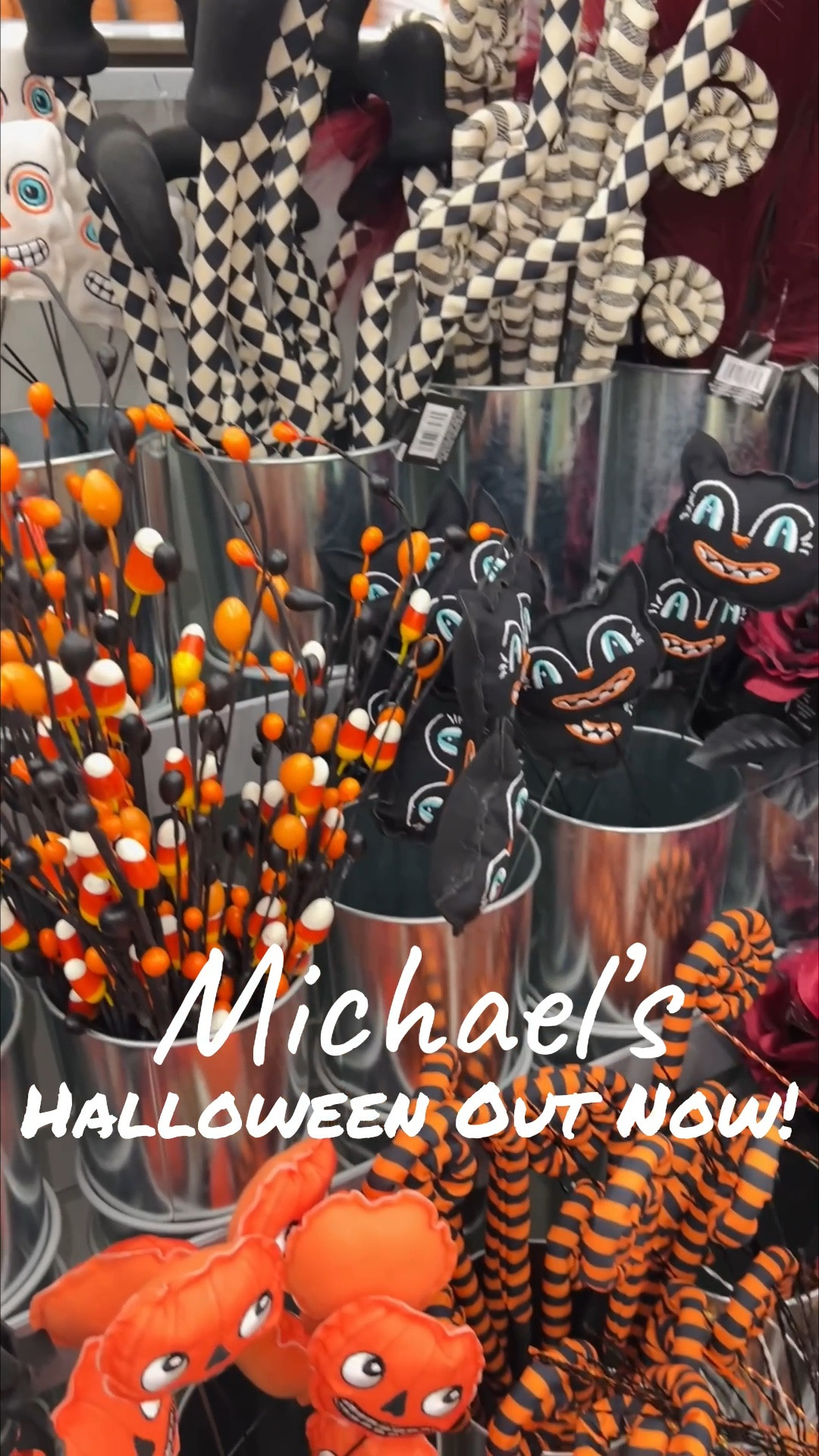 Michael’s Halloween Out Now!

#LTKSeasonal #LTKHome #LTKdayinmylife