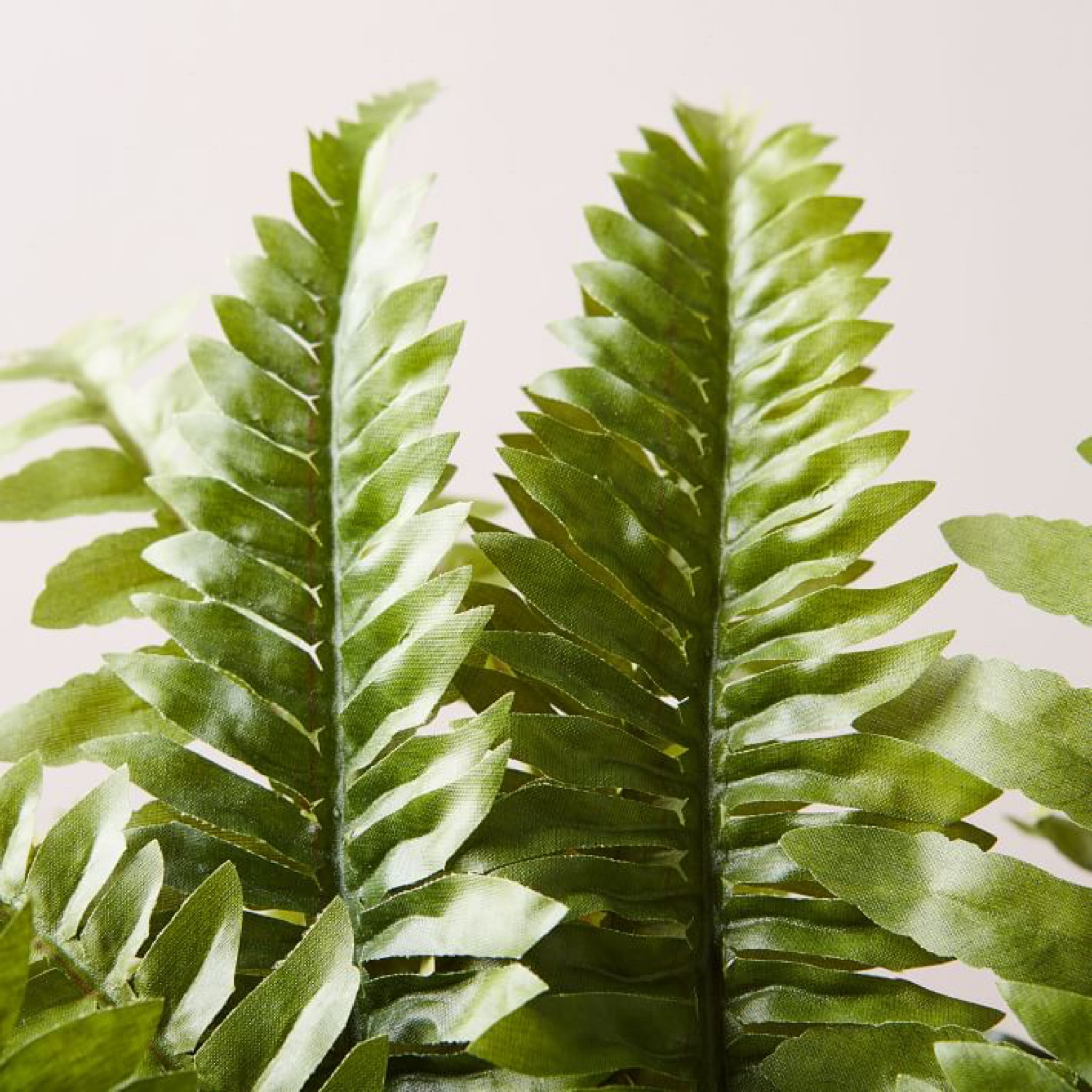 Don’t have a green thumb? That’s ok! These faux plants will make your plant lover friends green with envy.

#LTKSpringSale #LTKsalealert #LTKhome
