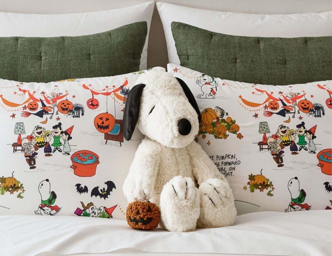 Adorable Pottery Barn Stuffed Snoopy 🍂

#LTKselfcare #LTKSeasonal #LTKHome