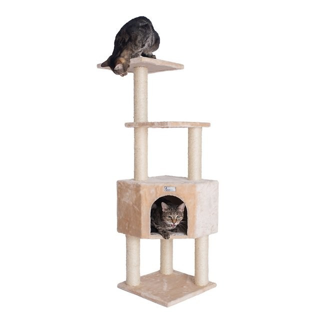 GleePet Faux Fur Covered,  Real Wood Cat Tree & Condo, Beige, 48-in - Chewy.com | Chewy.com