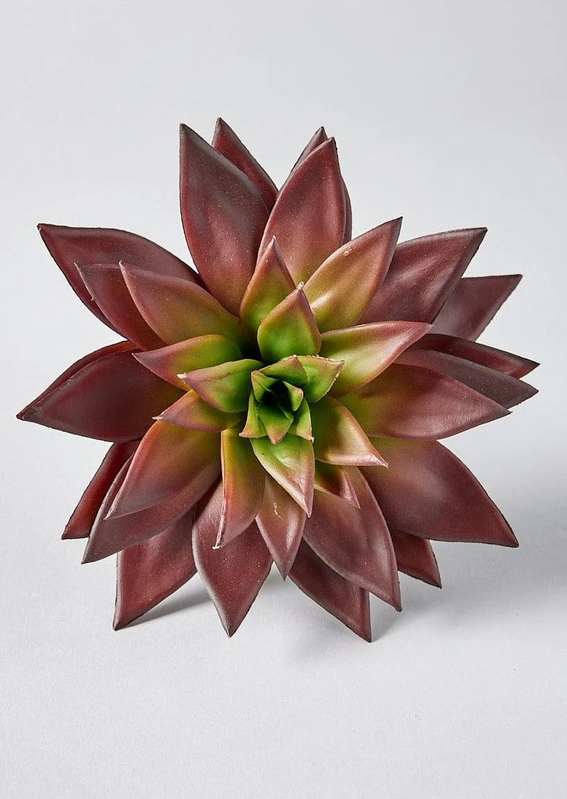 Burgundy Artificial Star Succulent Pick - 10" | Afloral