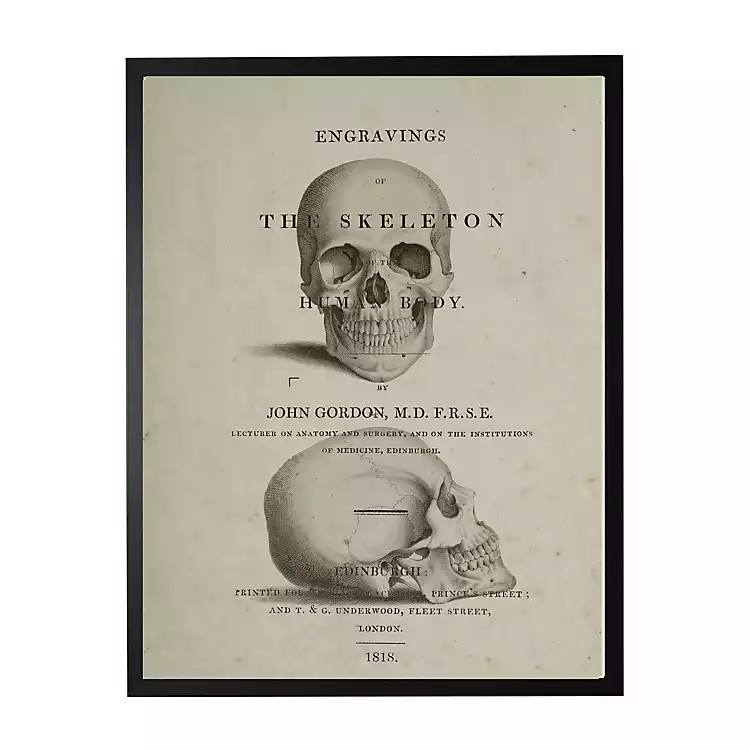 Vintage Skull Framed Halloween Wall Art | Kirkland's Home