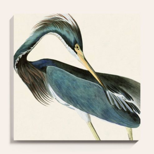 Sea Heron Stretched Canvas Art | Ballard Designs, Inc.