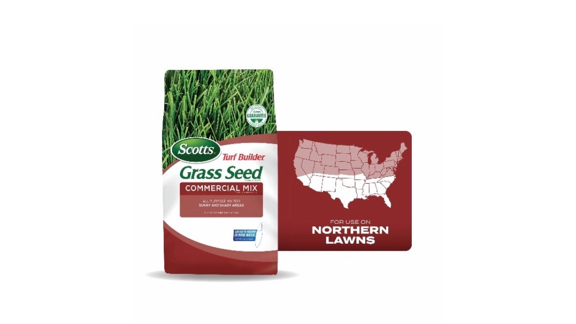 The only grass seed for MN grass 👏🏼👏🏼👏🏼👏🏼

#LTKSaleAlert #LTKHome #LTKdayinmylife