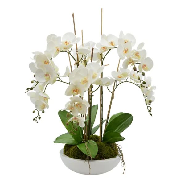 Orchid Arrangement In Ceramic Planter With Orchid Leaves | Wayfair North America