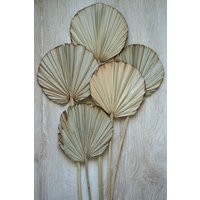 Palm Leaves, Dried Burnt Leaf Fans, Leave, Flowers, Sun Palm Leaves, Wedding Flowers, Home Decor, Bridal Bouquets, Bouquets | Etsy (US)