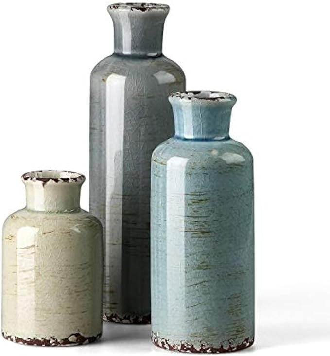 CwlwGO- Ceramic Vase 3 Piece Set, Small Flower vases for Home Decoration, Modern Farmhouse Decora... | Amazon (US)