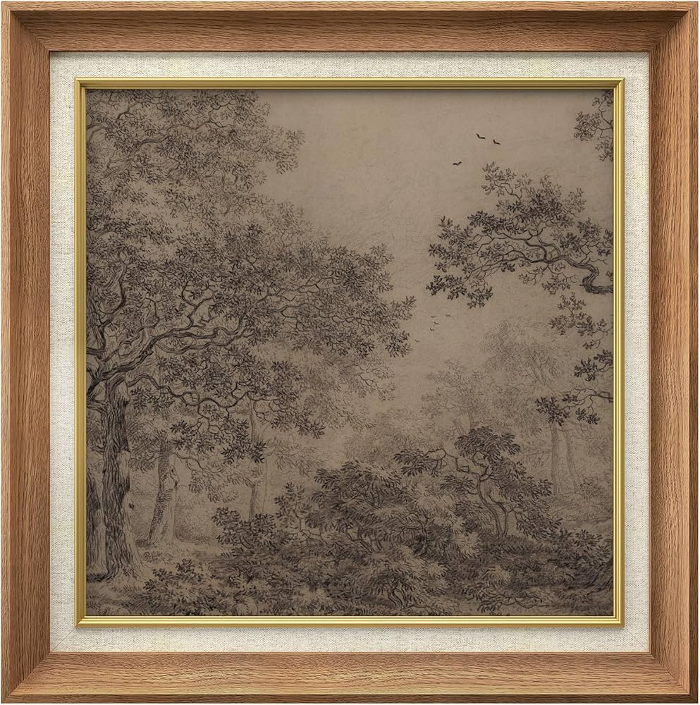 MUDECOR Premium Framed Wall Art Vintage Forest Sketch Classic Illustrations Fine Art Decorative R... | Amazon (US)