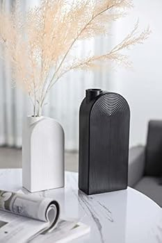 TERESA'S COLLECTIONS Ceramic Modern Vase Set of 2, Black and White Geometric Decorative Vases for... | Amazon (US)