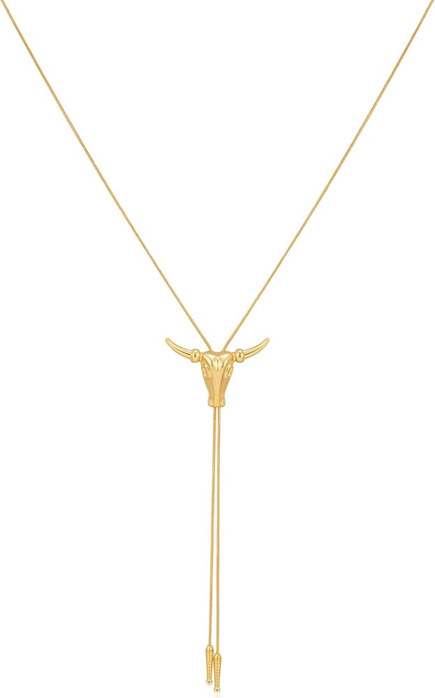 Western Cowgirl Necklace for Women Lariat Long Chain Hat Bull Head Turquoise Y Necklaces Cowboy B... | Amazon (US)