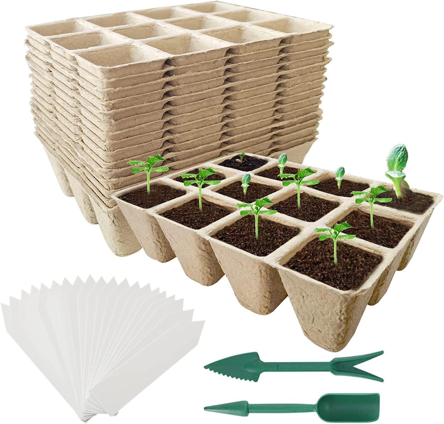 Seed Starter Tray,20 Pack Peat Pots for Seedlings Seed Starter Kit,240 Cells Biodegradable Seed S... | Amazon (US)