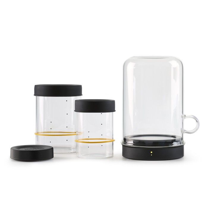 Goldie by Sourhouse™ with Pint & Quart Starter Jars | Williams-Sonoma