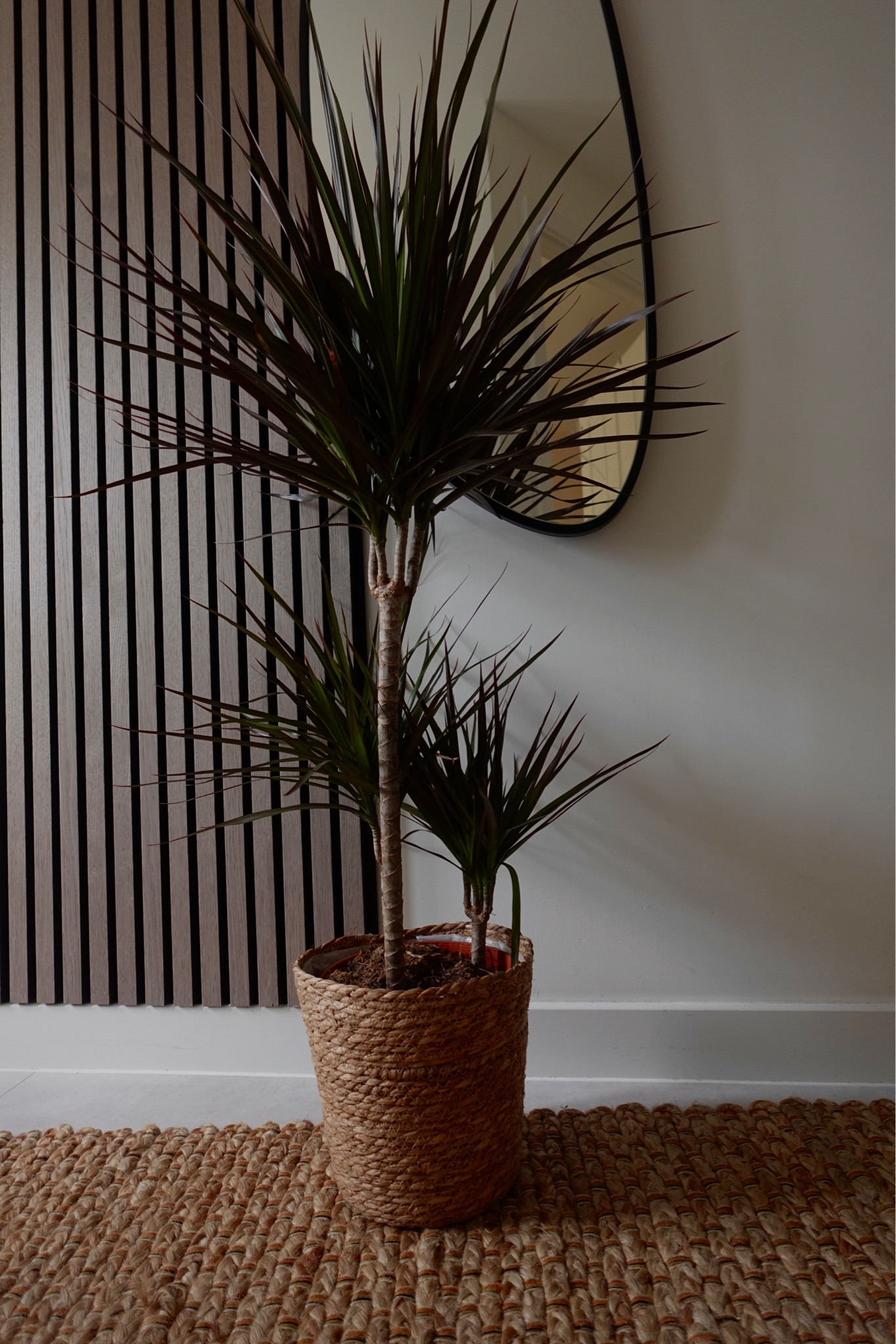 Creating a warm hallway with jute

#LTKunder50 #LTKhome #LTKFind