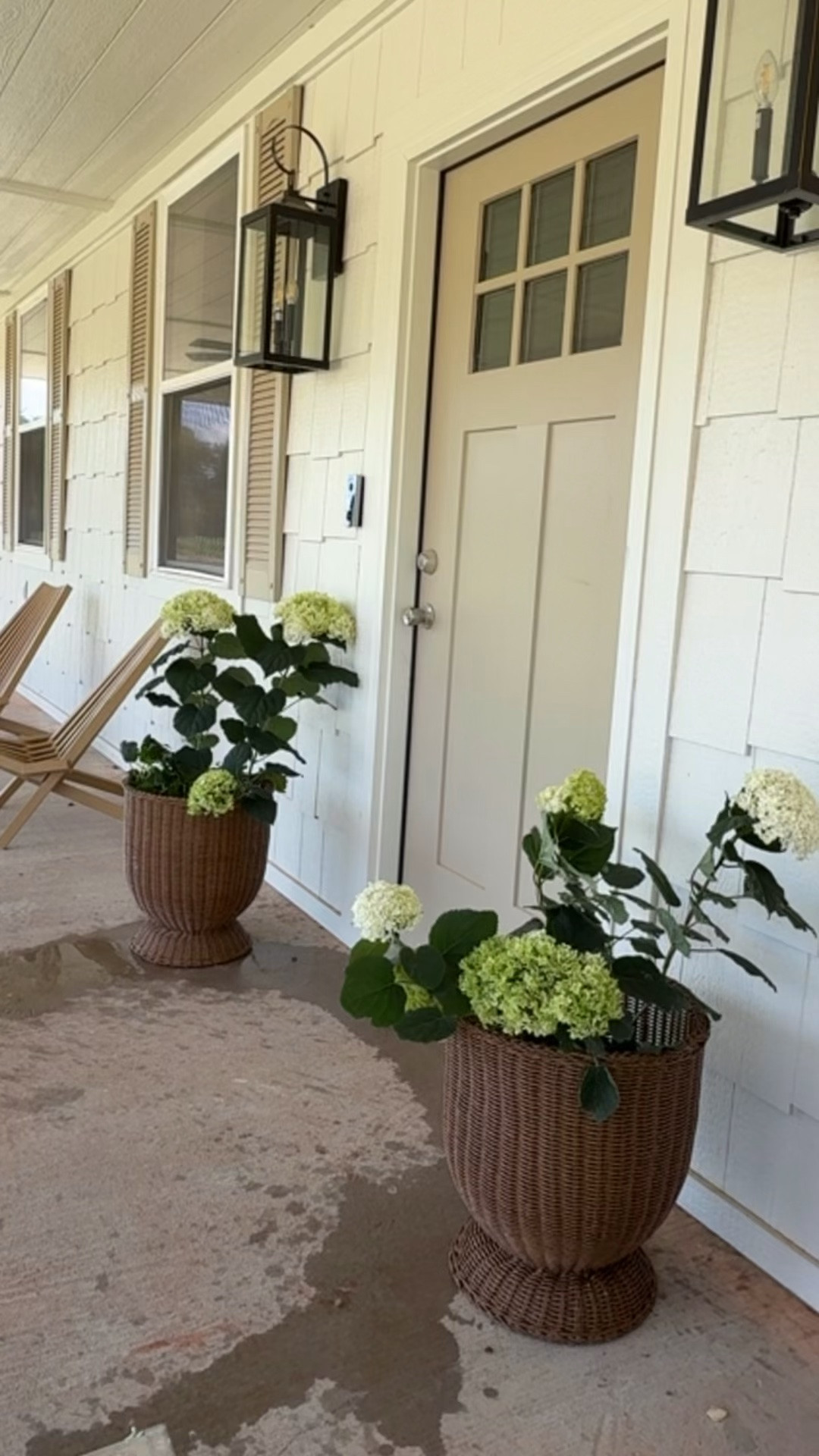 Got these affordable woven 16” planters from Walmart to use for my Annabelle hydrangeas at the flip house front door! Front porch. Cottage vibes.

#LTKHome #LTKSeasonal