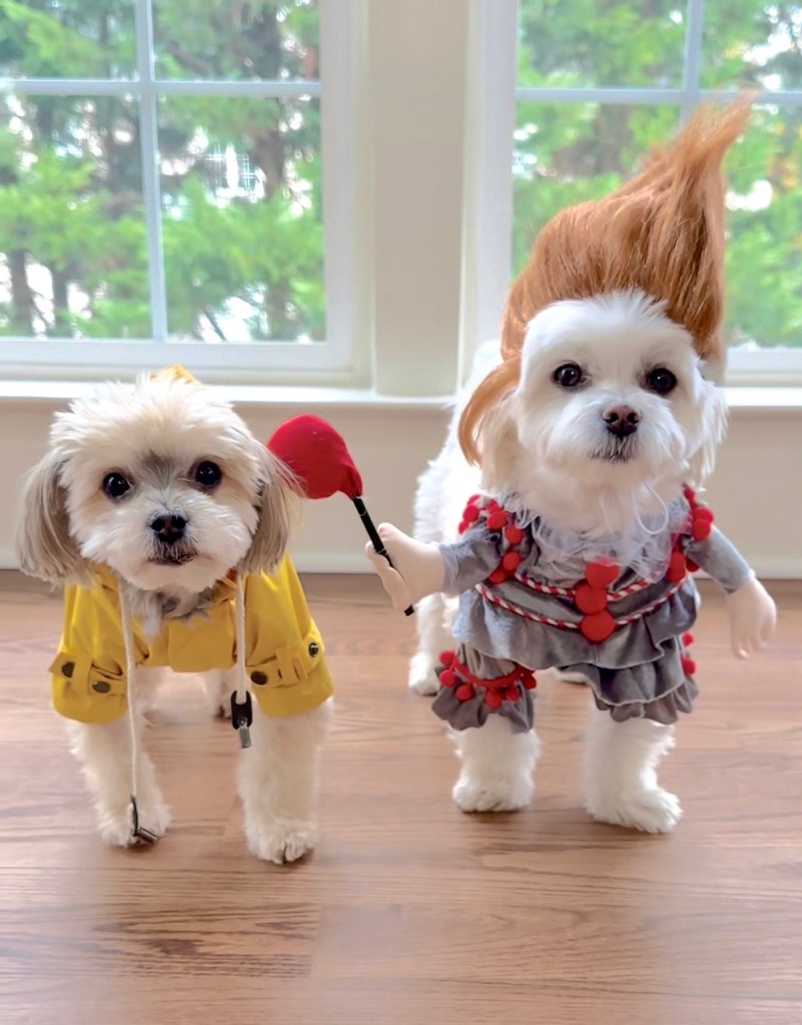 ɢᴇᴏʀɢɪᴇ ᴍᴇᴇᴛꜱ ᴘᴇɴɴʏᴡɪꜱᴇ 🎈

#LTKHoliday #LTKHalloween #LTKSeasonal