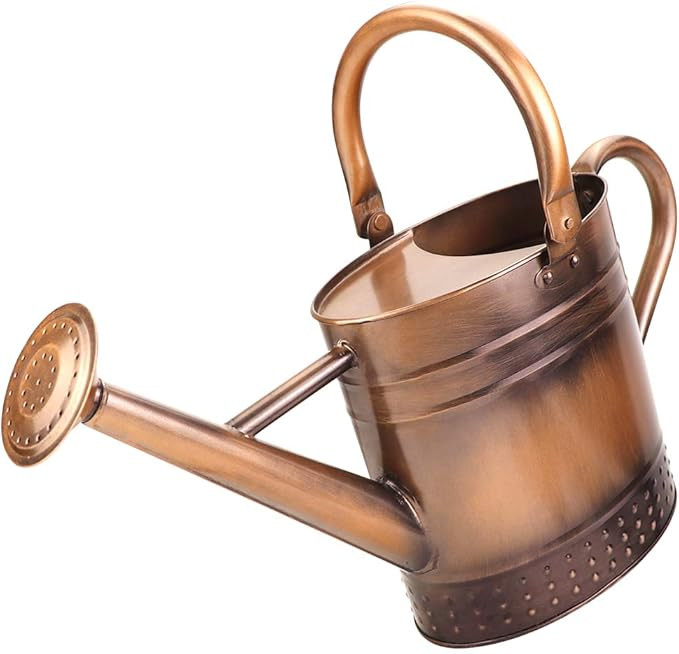 1 Gallon Metal Watering Can with Removable Spout, Nice Galvanized Steel Water Can with Embossed D... | Amazon (US)