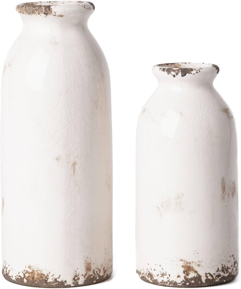 VICTOR & TERESA White Ceramic Vases Home Decor, Farmhouse Vase for Flowers, Flower Vase Set of 2,... | Amazon (US)