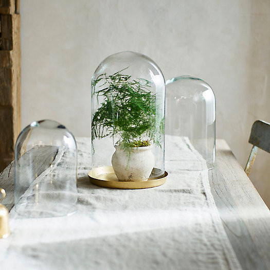 Glass Cloche Top | Terrain