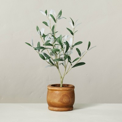 16" Faux Olive Leaf Plant - Hearth & Hand™ with Magnolia: Indoor Polyester Greenery in Wooden Pot, Farmhouse Decor | Target