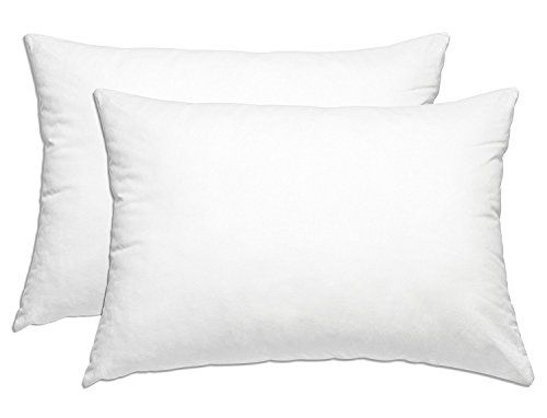 Smart Home Bedding Super Plush Pillow Dust Mite Resistant Down Alternative (Queen/Standard, 2 Pack) | Amazon (US)