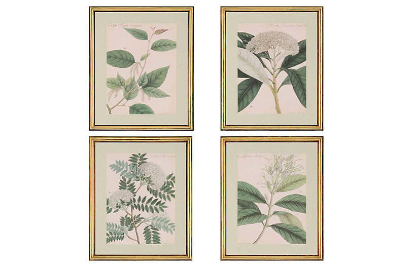 Botanicals Pk/4 | One Kings Lane