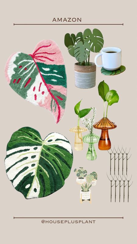some fun planty finds from #amazon 🌱 these #monstera coasters 😍 

#LTKSeasonal #LTKhome #LTKstyletip