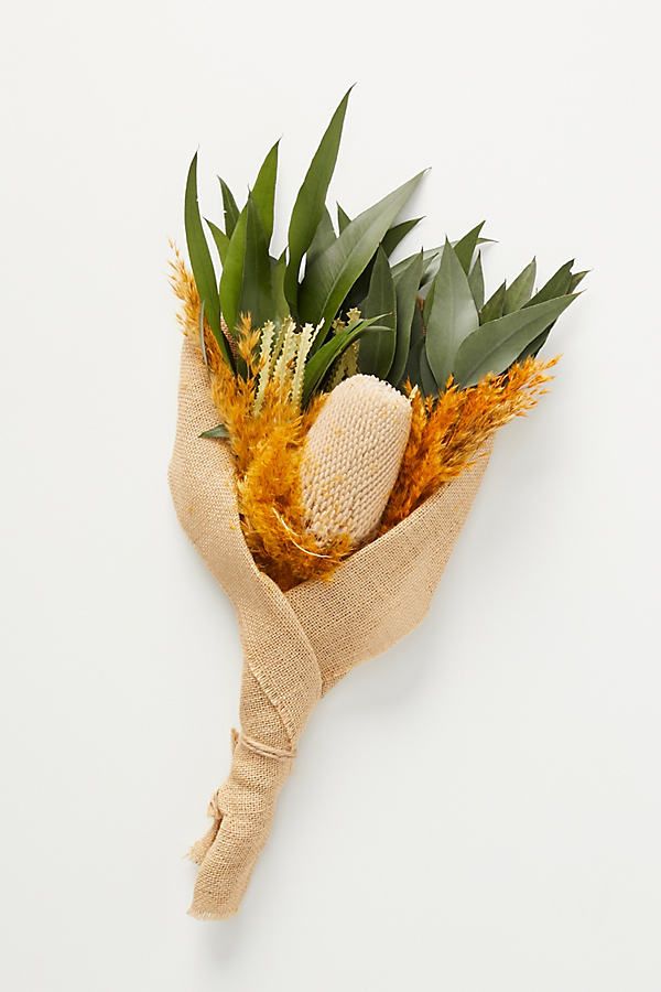 Willow Dried Floral Bouquet By Anthropologie in Beige Size ALL | Anthropologie (US)