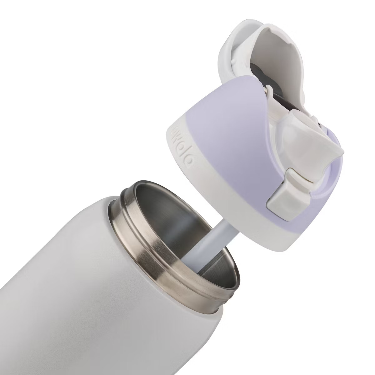 Owala Special Edition 32oz Stainless Steel FreeSip Classy Christmas Water Bottle - Snow Globe | Target