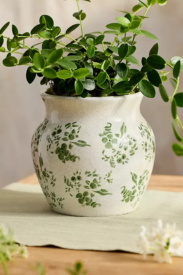 Green Chinoiserie Terracotta Jar Planter | Anthropologie (US)