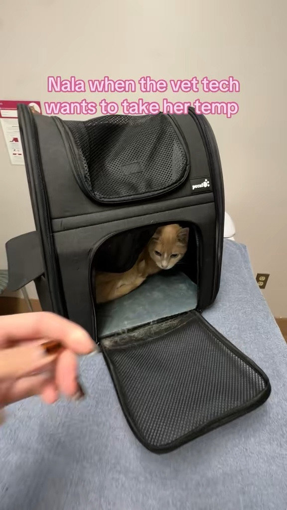 She was NOT a fan but she was a good girl 

 #LTKdayinmylife #LTKstorytime #LTKTravel