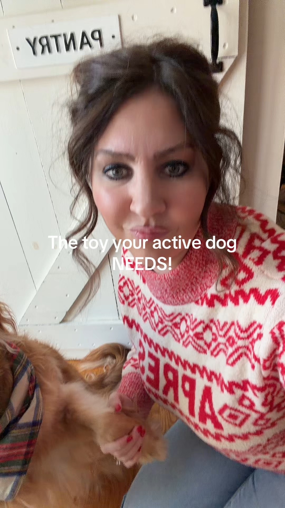 We did a size xl for Goldie  keep your dog happily entertained, make homemade pupsicles, and turn boring afternoons into playdates in your living room 💛 perfect for big pups who love treats and mental stimulation

#LTKHome #LTKFindsUnder50 #LTKGiftGuide